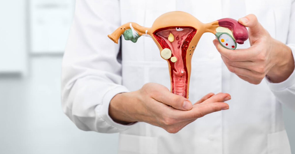 Ginecologia - PHYSIO4ALL Gondomar